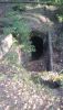 20200828_172911.thumb.jpg.8a8bfdb7a0b877a7311a3ade8403e536.jpg