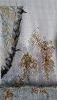 20200901_085214.thumb.jpg.fc1b236e268f3f65b5c23382e1286080.jpg?1599045392569