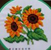 20200904_223521.jpg