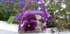 20200905_132310.thumb.jpg.e13667a14363d511fb6a036ed9d6f117.jpg