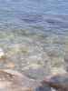 20200907_135035.thumb.jpg.2cdd9c27bf3526ed9a98b778e9037848.jpg