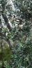20200907_154328.thumb.jpg.bd22c91f6fc933facaa85def993598ee.jpg