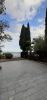 20200907_171355.thumb.jpg.2013ff99e0232972ef189f5dffe0250b.jpg