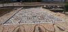 20200908_162856.thumb.jpg.53d7eb6d38b16a6a2172ccb5dedd00d4.jpg