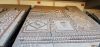 20200908_165128.thumb.jpg.c70d389e24c60e741535cff2e0f8cd9c.jpg