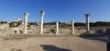 20200908_165946.thumb.jpg.0f7298b89403323fb3222c4ce445d08c.jpg