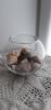 20200918_132214.thumb.jpg.b10c88c504e2500ef86c6f5e46d413fc.jpg
