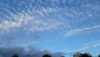 20200918_181615.thumb.jpg.7a4b15b4f0aa8dcb2fa946281a7da18b.jpg