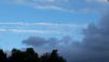 20200918_181625.thumb.jpg.f27f9616bac3f0edab7f21817697a0f0.jpg