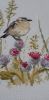 20200919_145819.thumb.jpg.1a9d9f83f4bae3e01f2140bb6c361a06.jpg