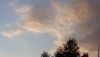 20200919_182949.thumb.jpg.0903dba3759d545f0ae2086a039544e3.jpg