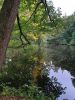 20200920_165529.thumb.jpg.db31cc5223c96f280a97e5ae74de4c52.jpg