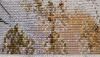 20200922_000444.thumb.jpg.4def318c85ff6b22d127f8a2c706bedf.jpg