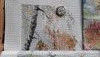 20200922_072636.thumb.jpg.e191ab4bbc3404711943b1e49b3ca152.jpg?1600851499688
