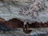 3.thumb.jpg.5026042dee81c747559cfd873bd91905.jpg