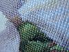 3.thumb.jpg.c58cf8c931f89fe01bcddc032394f0d1.jpg