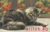32457.thumb.jpg.41c3741850f2bd94013d85a756d2852f.jpg
