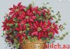 Мережка К-132, Poinsettia