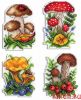 48695.thumb.jpg.08cd35df1c76f9aea583de02f65fdbdb.jpg