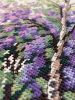 7378BD3C-EF37-452D-A580-D4147CE023F1.jpeg