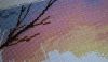 8.thumb.jpg.be1d55feba26b45512dc52468d2fb849.jpg