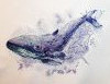 984965587_08_.thumb.jpg.b2782f03fdd71bcddc2d18b255191163.jpg?1599134316137