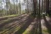 DSC06714.thumb.JPG.de6833ee45e158d8e7a5734fe254a093.JPG