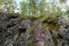 DSC06718.thumb.JPG.2949c92ffb01be1054ac10cca8ef3b16.JPG