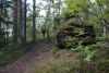 DSC06738.thumb.JPG.6fa6f0cc69a28f7e8fdc836ad83a73b1.JPG