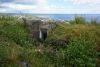 DSC06747.thumb.JPG.aa89ff995c48959bbe3fd2b5b2c75e95.JPG