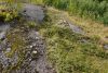 DSC06762.thumb.JPG.faeb243dbf328b743ea54a4cac08f11b.JPG