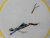 DSC07313.thumb.JPG.4cb6f24be28236aa03d4990278fd98c0.JPG
