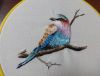 DSC07338.thumb.JPG.74a6caa793a8159de75b06b610d50c5c.JPG