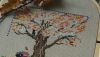 DSC09634.thumb.JPG.e4f9a1ffa0345fefde31c21ba29928fa.JPG
