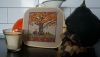 DSC09827.thumb.JPG.e22b13d6f9cf4cb948bfe0b7c26345e5.JPG