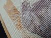 DSCN4462.thumb.JPG.98e27628c1c5d7f925e7db1675e4a2e2.JPG