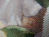 DSCN4463.thumb.JPG.171fc0d1670d983f7aff743503a9f0f3.JPG