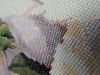 DSCN4472.thumb.JPG.8fbe556f926af4f97919b163b1adfdf2.JPG