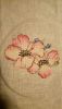 DSC_0064.thumb.JPG.d6877c58ae5ff68e38715b74515eb835.JPG