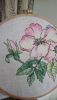 DSC_0066.thumb.JPG.896faf6603c6c8c5a553a166455c4569.JPG