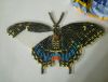 DSC_0591.JPG
