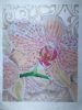 FEA89368-D513-41F9-A921-04A3530F8F3C.jpeg.df4e674b8a80bf65c7dcf70220d391e0.thumb.jpeg.1ad0588c3acfe4a7b3380290824a5726.jpeg