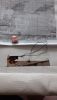 IMG-20200915-WA0049.jpeg