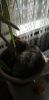 IMG-20200917-WA0006.thumb.jpeg.77bc1b3d549d86087a94758be231f03f.jpeg