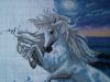 IMG0227A.thumb.jpg.0b529bddbd5d65005feb67eddf4d5d91.jpg