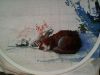 IMG0234A.thumb.jpg.71c04b1d514b3c480d29dd912c0fa84a.jpg