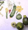 Mon Jardin Potager, Veronique Enginger