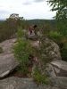 IMG_20200725_122439.thumb.jpg.ee4832109b9939010517865a15582db1.jpg
