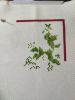 IMG_20200803_203155.thumb.jpg.b604e4aa801dfbae53654a0077bc9056.jpg