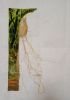 IMG_20200812_175849.jpg